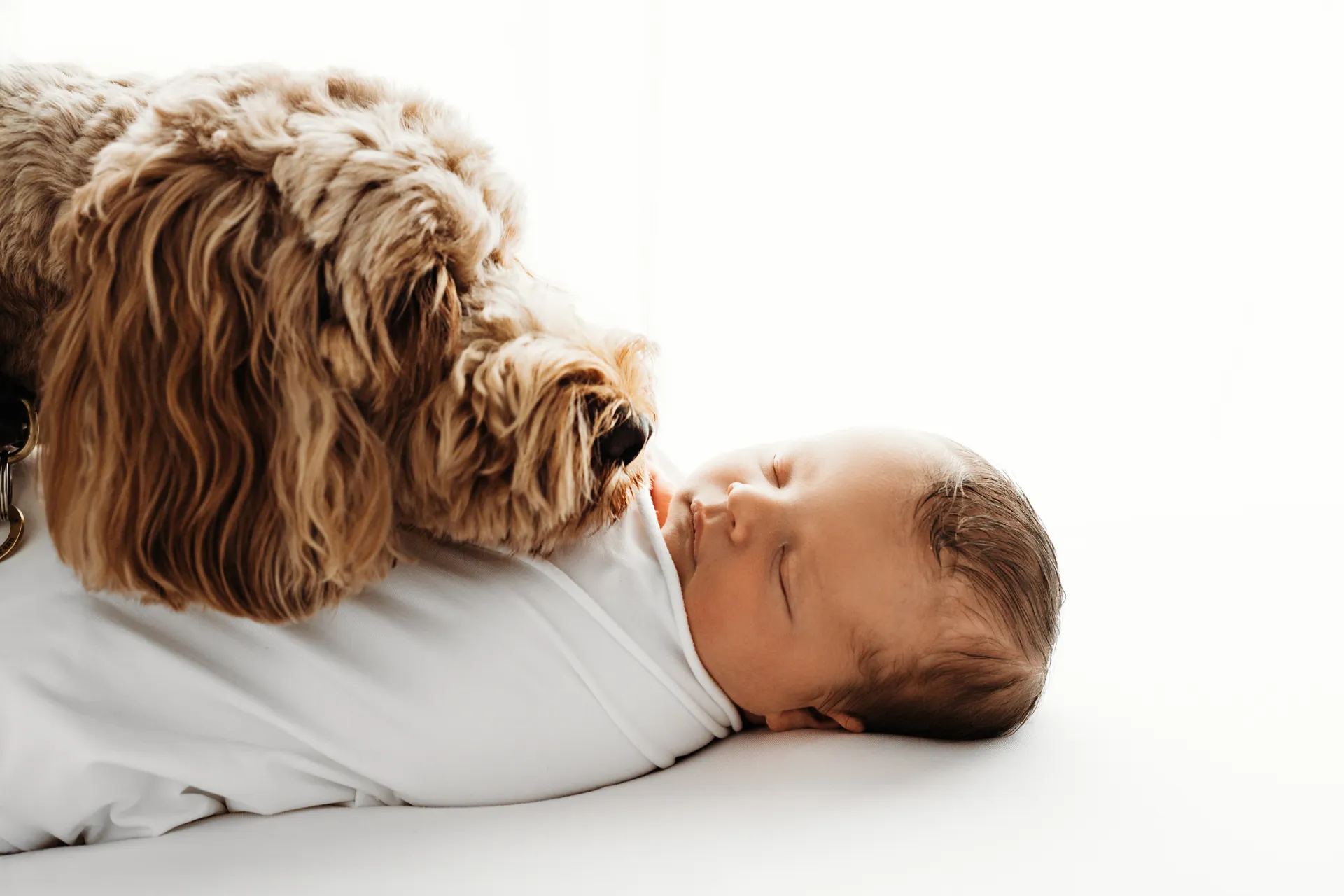 Newborn baby sleeping peacefully next to family dog - newborn photographer Kingston upon Thames
