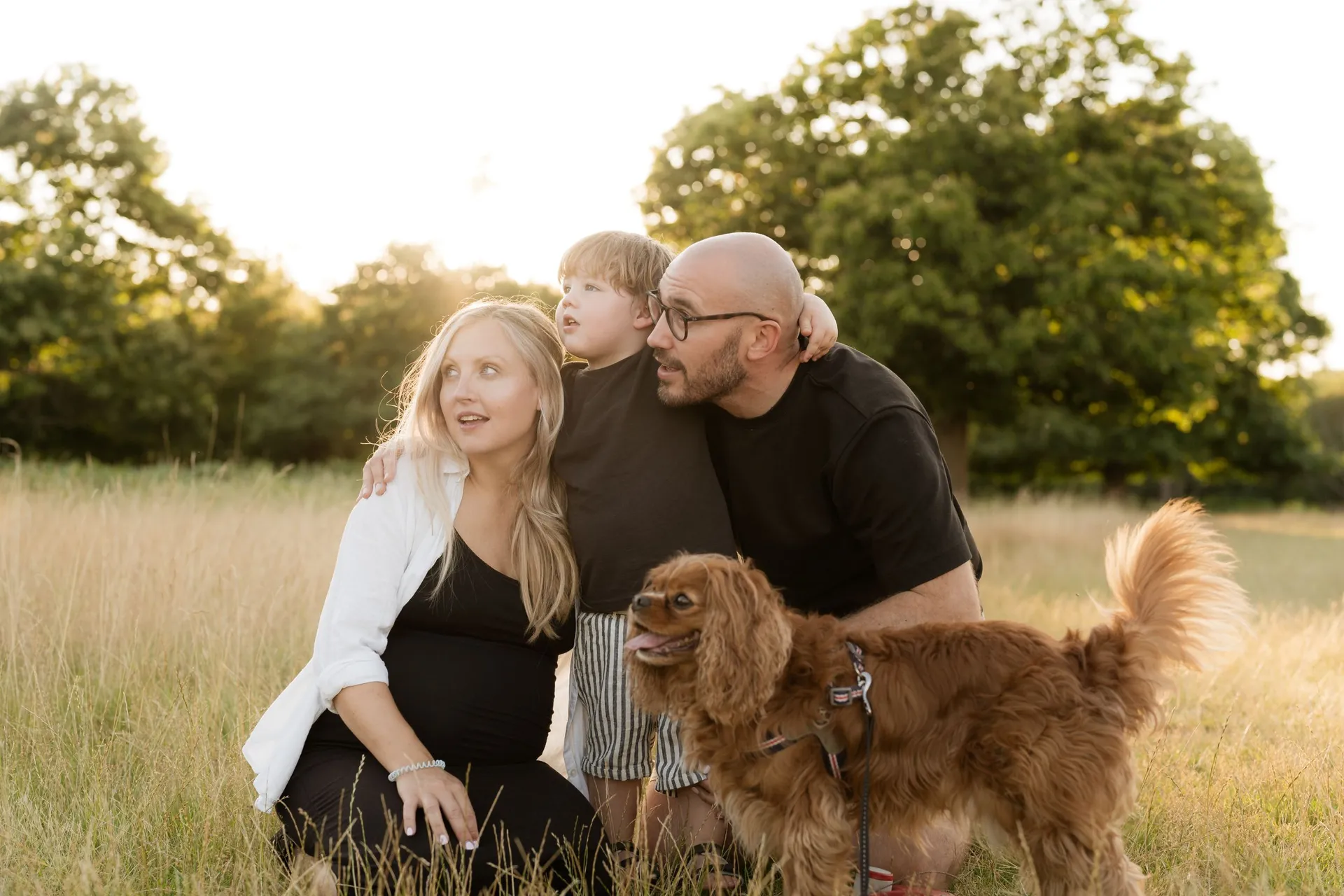 Family with golden retriever in a sunlit meadow at golden hour