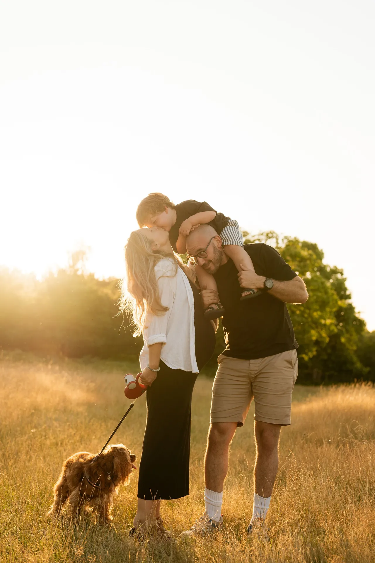 Tender family moment in a golden meadow with their dog during sunset