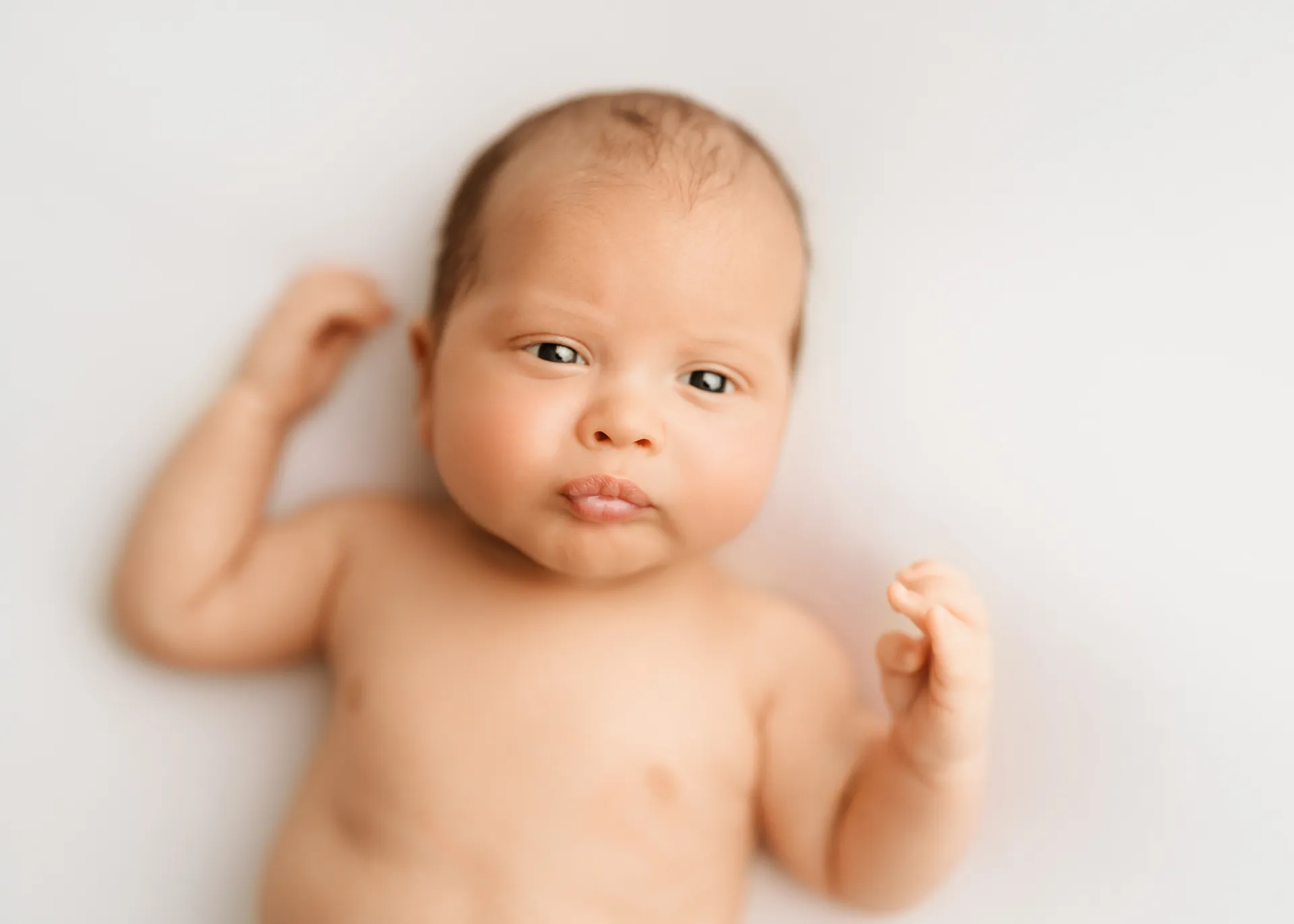 Newborn baby looking up at camera on white background - newborn photoshoot Kingston upon Thames